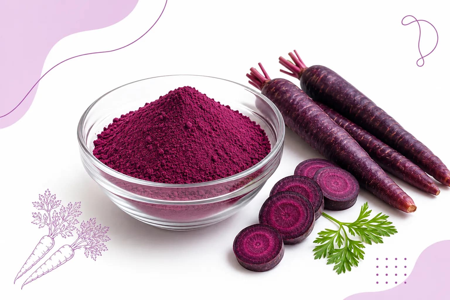 SD Purple Carrot Powder