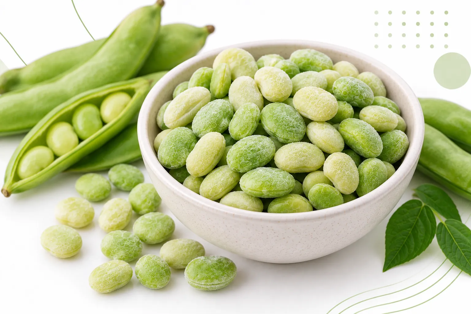 IQF Petite / Baby Lima Beans (Valor Lilva) - Bulk Export Packaging & Technical Specifications